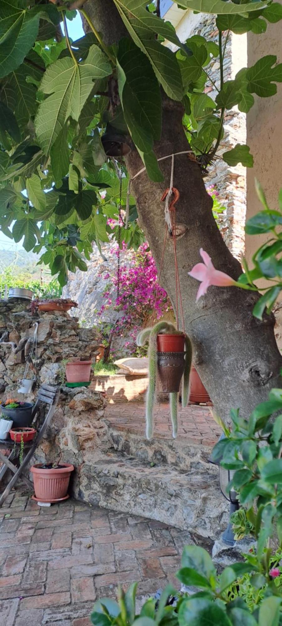 Quiliano B&B L' Antica Macina מראה חיצוני תמונה