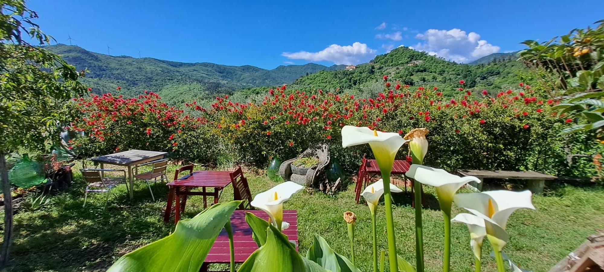 Quiliano B&B L' Antica Macina מראה חיצוני תמונה