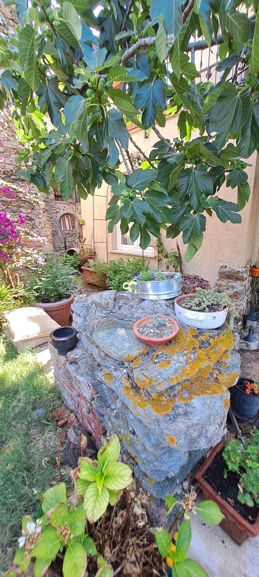 Quiliano B&B L' Antica Macina מראה חיצוני תמונה