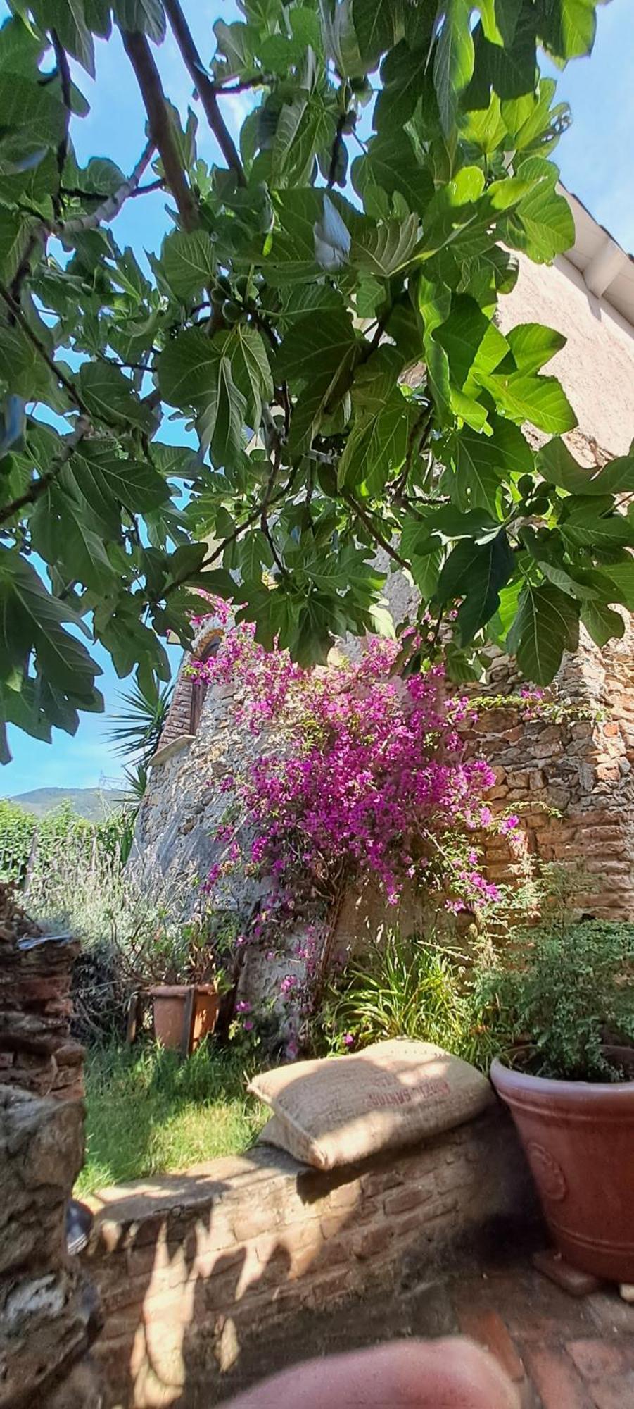 Quiliano B&B L' Antica Macina מראה חיצוני תמונה